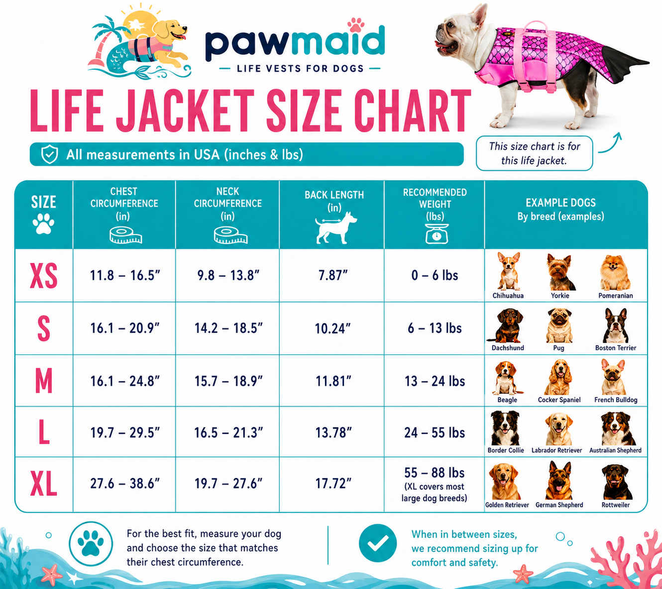 PawMaid Dog Life Jacket