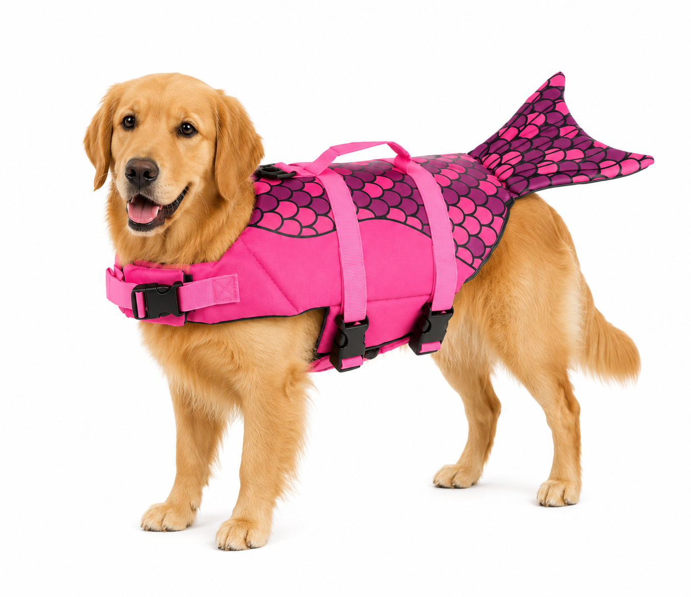 PawMaid Dog Life Jacket